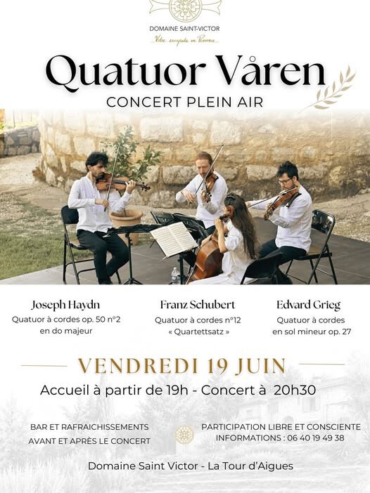 Concert en plein air - Quaturo Varin